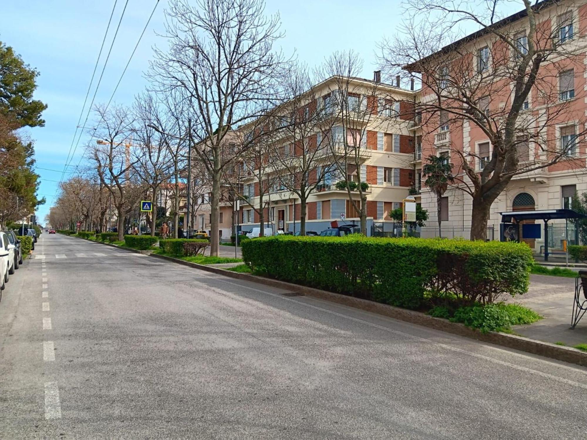 Italian Experience- Ancona City Apartment Exteriör bild